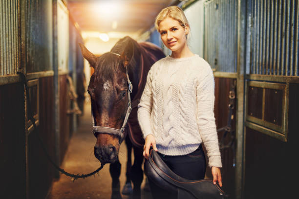 senior horse joint care